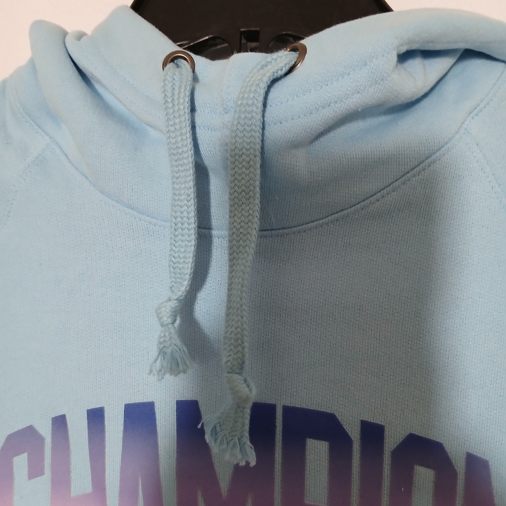 Champion Candid Blue Fleece Pullover Hoodie with Gradient Logo Size Medium - Picture 6 of 10